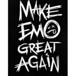 The EMO GUYS and GIRLS