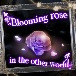 Blooming rose in the other world