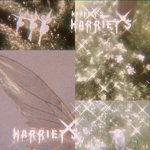 HARRIET'$