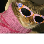 Las divas uWu >:3
