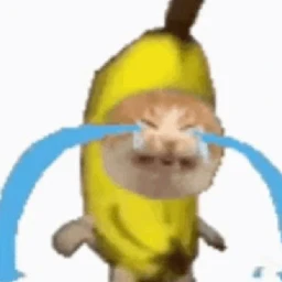 Banana Cat icon
