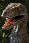 Elite Dinosours