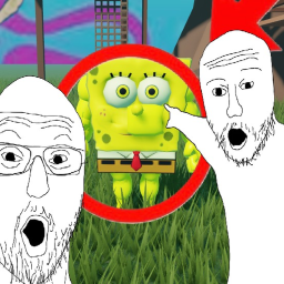 The Sponge Disaster