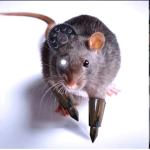 Robotic rat