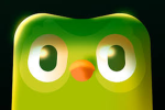 Don’t get Duolingo mad