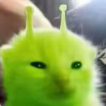 Alien kitten's camp(外星小猫的营地)