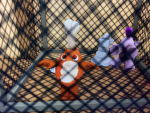 Squrriel