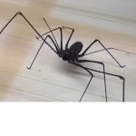Scary =)