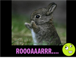 Wabbit Lovers
