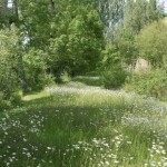   ︵‿︵‿୨♡୧‿︵‿︵