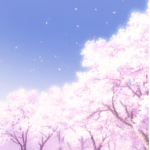 |Sakura|