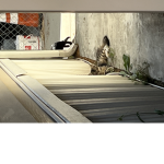 Sk8er XD