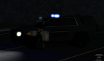 | State Of South Carolina Role Play |