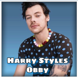 Harry Styles obby
