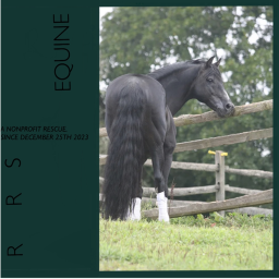 Rolling Ridge Stables