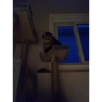 AwesOme hide and seek 8)