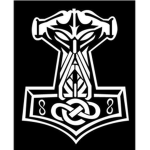Nothern Raiders