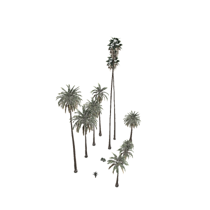 PBR Palm Tree's (Optimized)