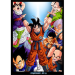 The Martial Arts Warriors
