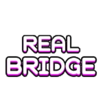 Real Bridge Group Thumbnail