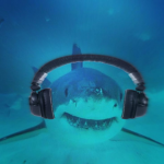 Sharkss<3