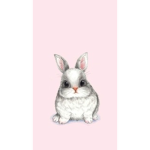 Bunny clothing!!!