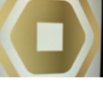 Robux for life!!!!