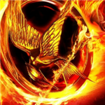 Hunger Games Fair Fighters