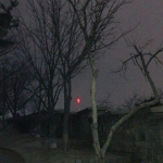 쓴 설탕