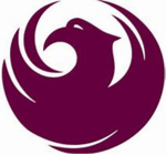 Phoenix Knights Squad
