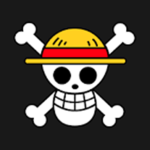 Straw Hat Pirates Of The New Era