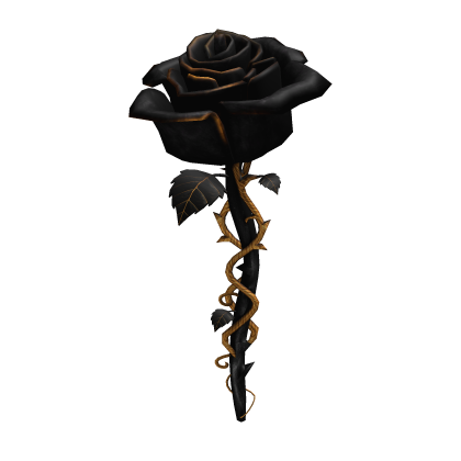 Black & Gold Rose