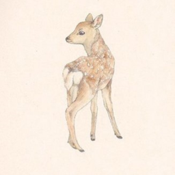 ˚ ˖Fallow Stables˖ ˚🧸 [TEST]