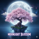 Moonlight Blossom Park🌸