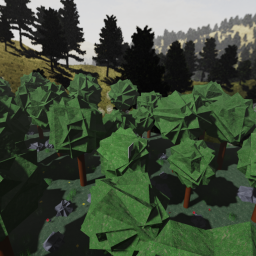 survive overnight in a forest