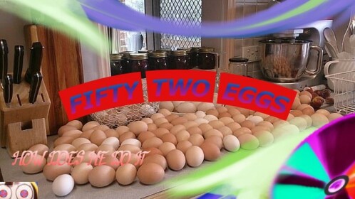 [UPDATE] 🥚OBBY BUT YOU'RE AN EGG🥚 [EASY]