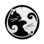 MLG Cats!
