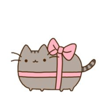 pusheen hawai