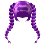 Cutesy Braided Twintails