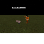 SkonkingSkus