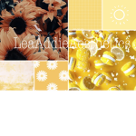 LeahAddieAesthetics