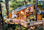 Mowis treehouse