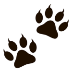 .PAWS AND CLAWS.