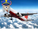 Granny's Airline