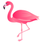 flaming flamingos153