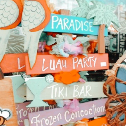 ʚ 🌴🐠༄