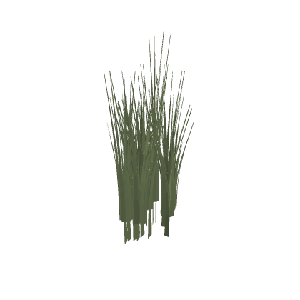 Long Grass