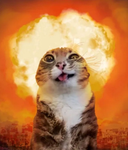 FIRE n' CHAOS