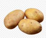 MashedPotatos