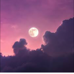 <~[Heaven Vibes]~>